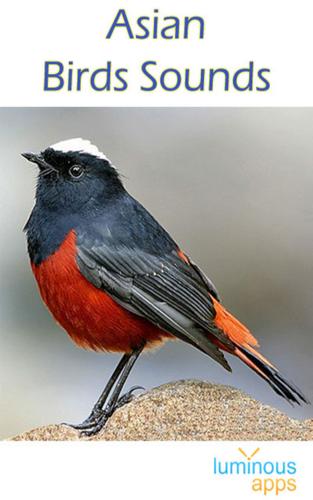 Asian Birds Sounds Free