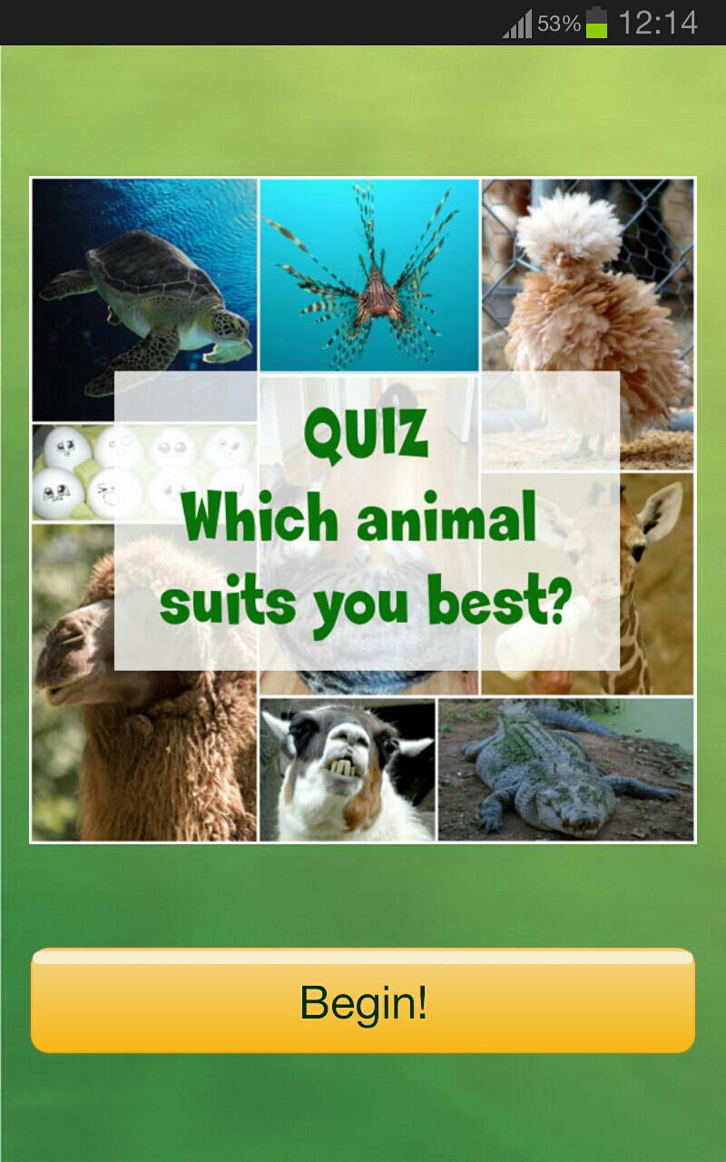 Best Animal 4 Me