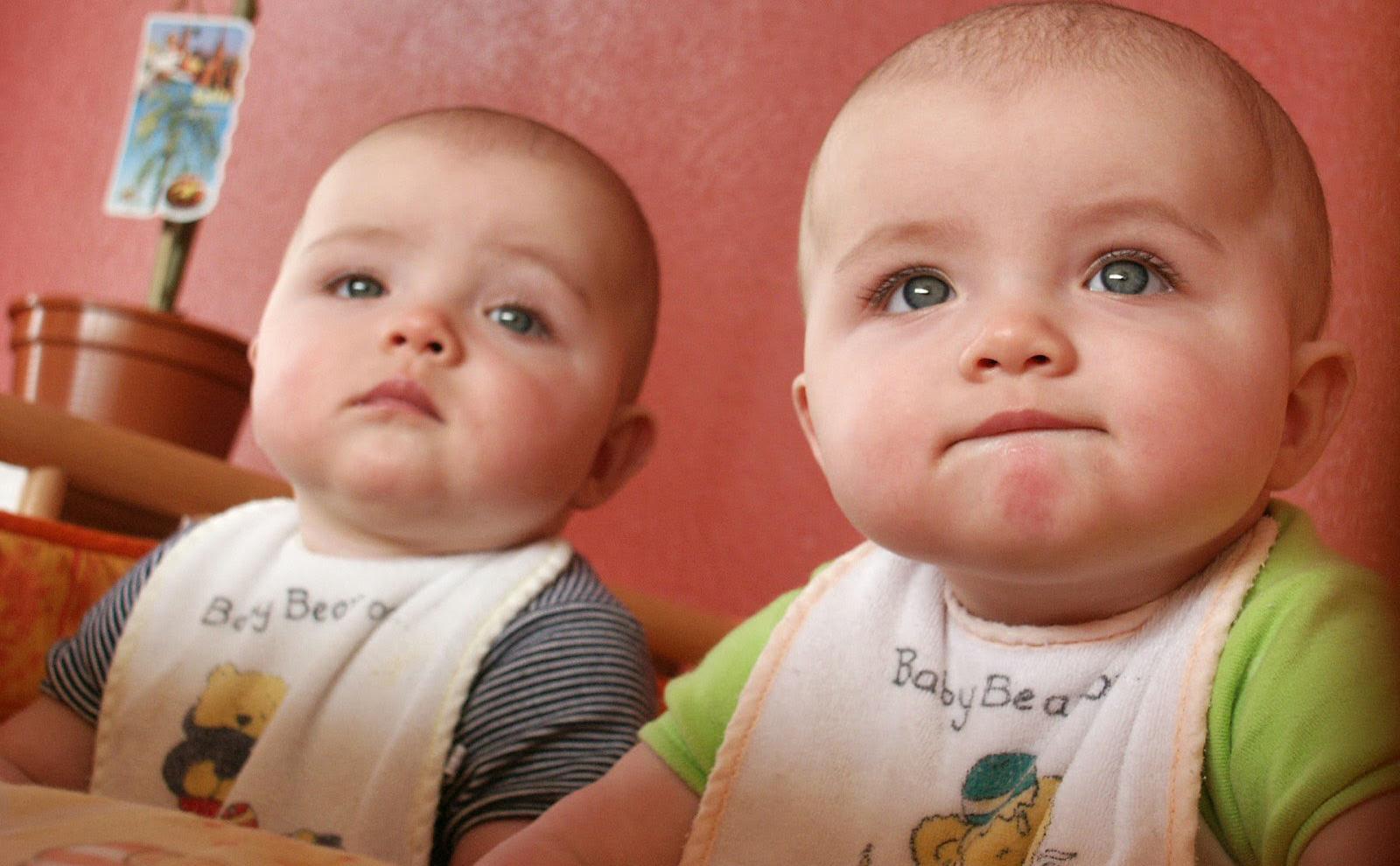 Twins Puzzle