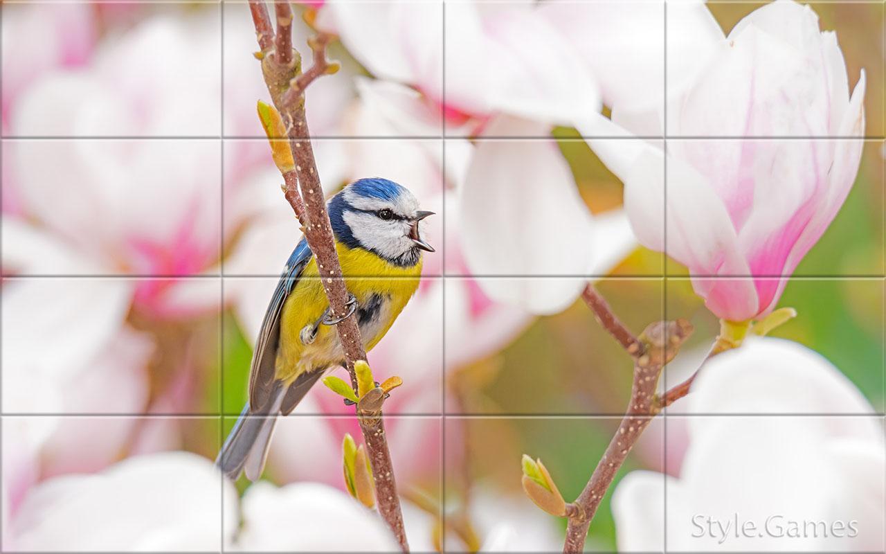 Sparrows Puzzle