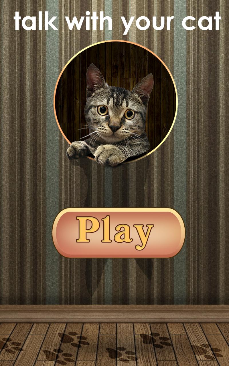 Kitty Translator