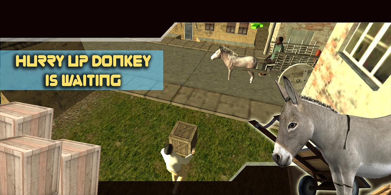 Donkey Cart Driver