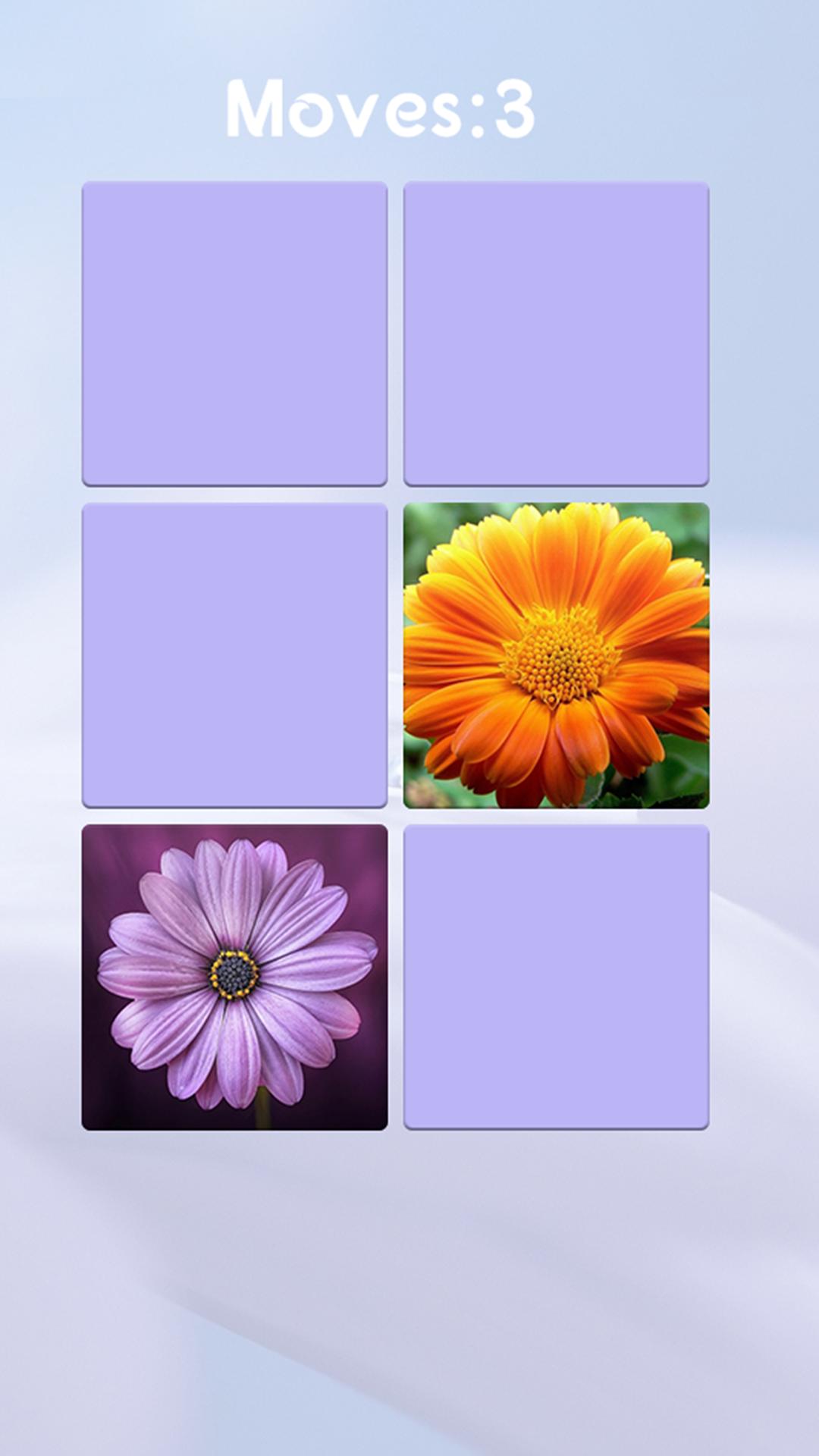 Flower Memory